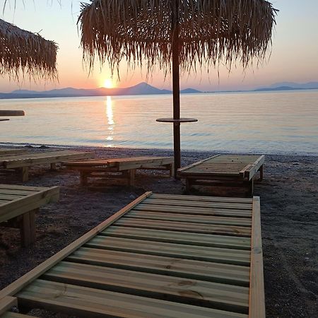 Μοντέρνα Εξοχική Μονοκατοικία Με Ιδιωτική Πισίνα! Khalkoutsion Eksteriør bilde