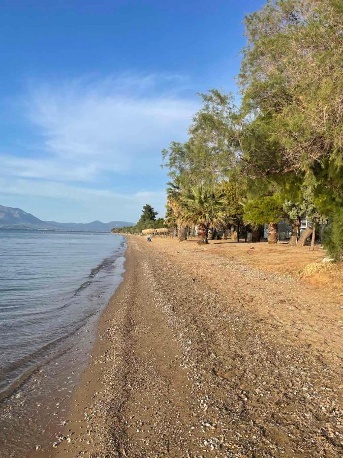 Μοντέρνα Εξοχική Μονοκατοικία Με Ιδιωτική Πισίνα! Khalkoutsion Eksteriør bilde